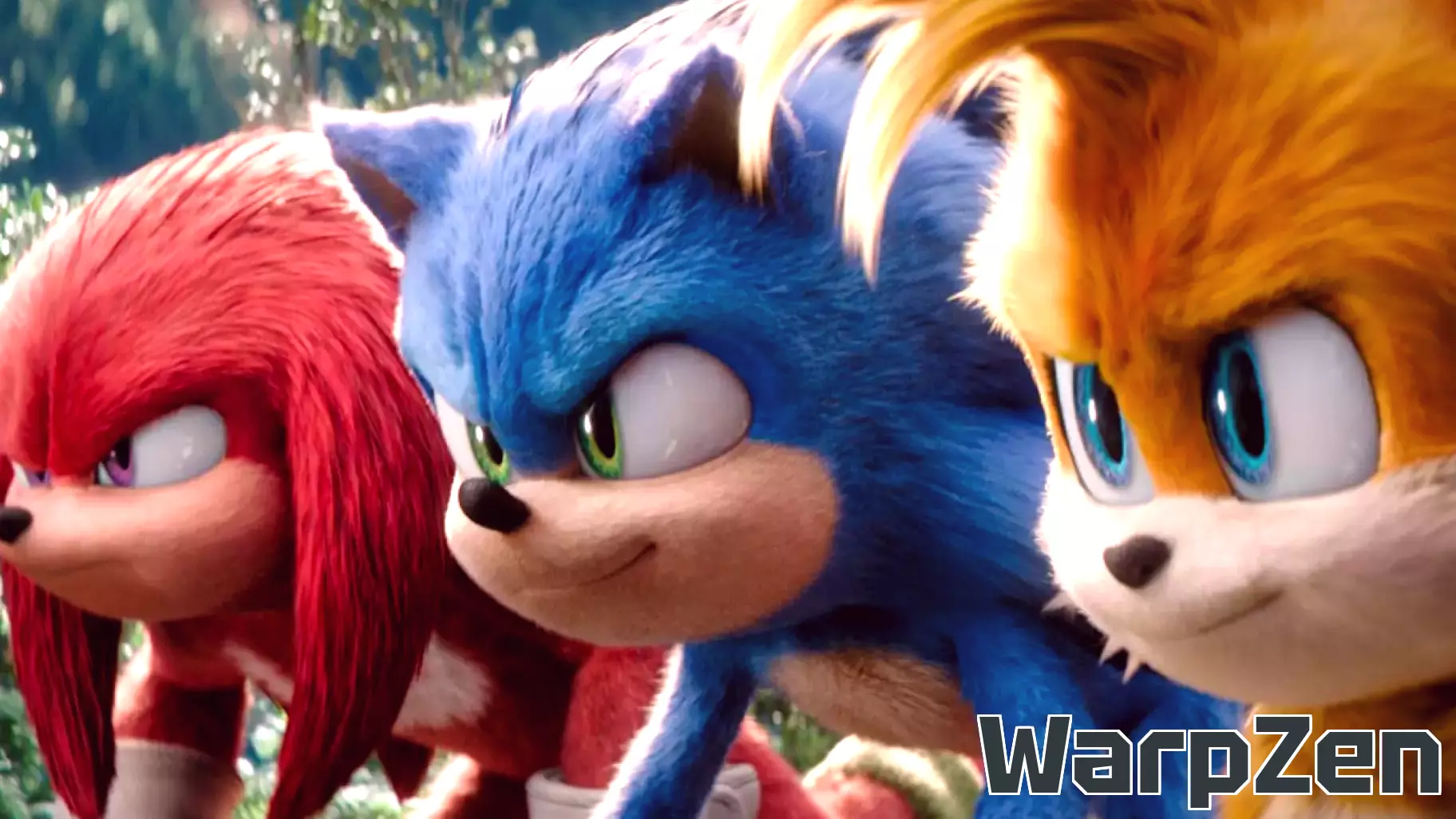 The Sonic Franchise Has a Lot of Characters, So Where Are They?